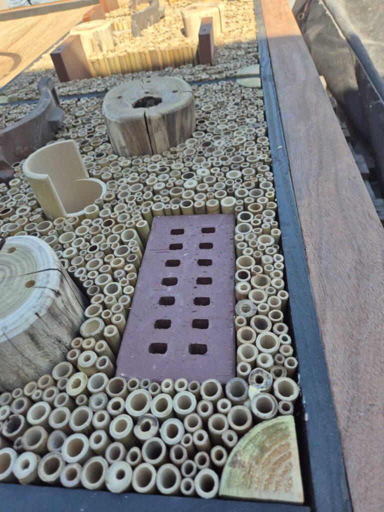 insectenhotel-hms-07-2026-van-schie-groen-6
